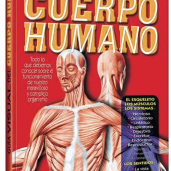 Guía Visual del Cuerpo Humano