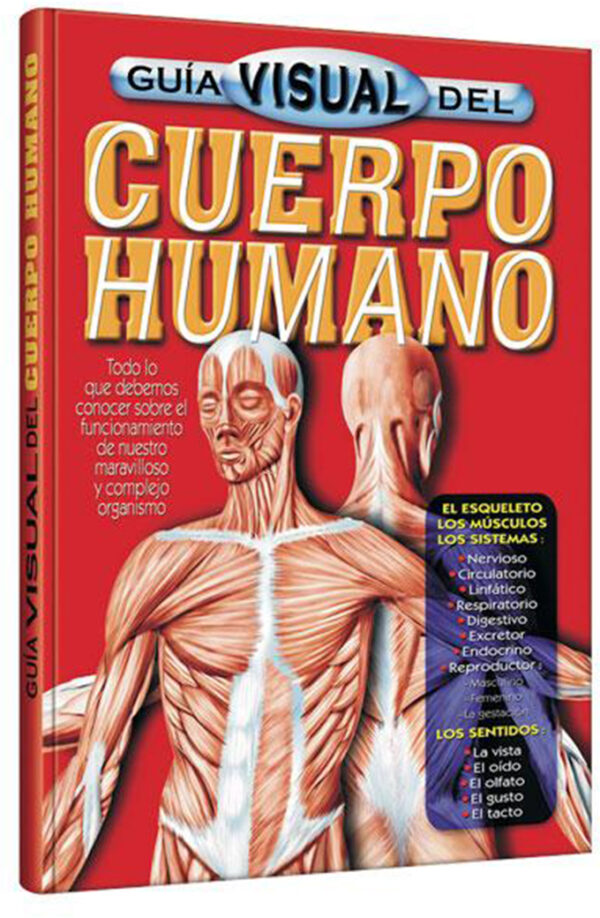 Guía Visual del Cuerpo Humano