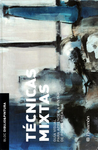 Técnicas Mixtas Guía Visual