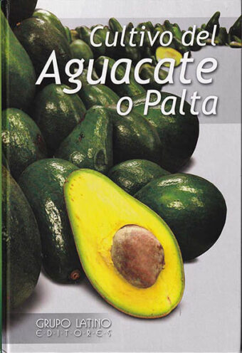Cultivo del Aguacate o Palta