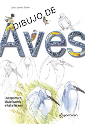 Dibujo de Aves