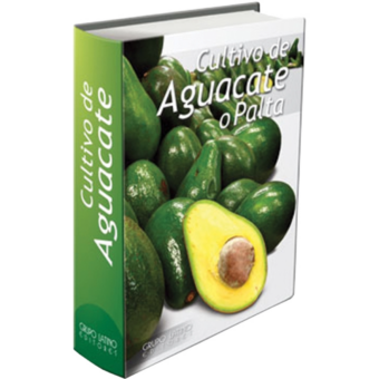 Cultivo del Aguacate o Palta