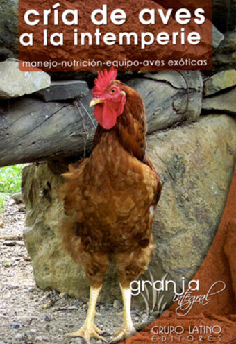 Cría de Aves a la Intemperie
