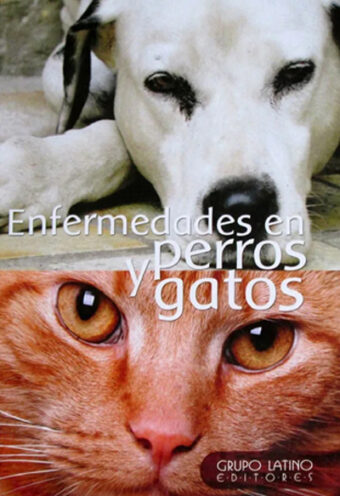 Enfermedades en gatos y perros