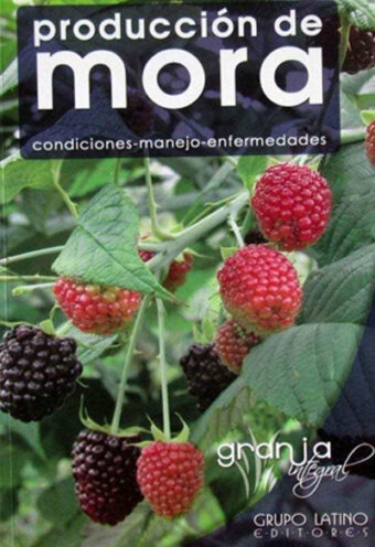 Producción de mora
