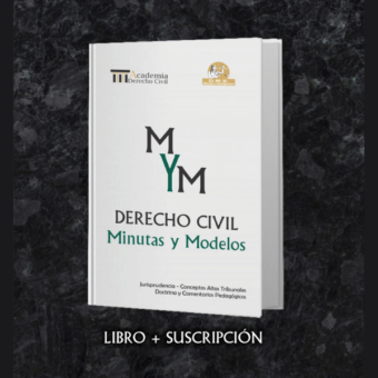 Derecho Civil Minutas y Modelos 2024