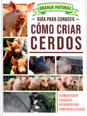 Guía Para Conocer Cómo Criar cerdos - Grupo Clasa