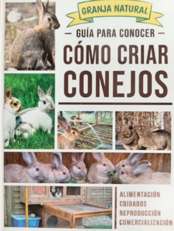 Guía Para Conocer Cómo Criar Conejos - Grupo Clasa