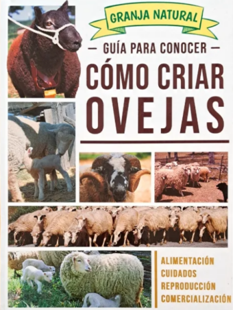 Guía Para Conocer Cómo Criar Ovejas - Grupo Clasa