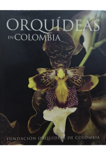 Orquídeas En Colombia Fundación Orquídeas De Colombia