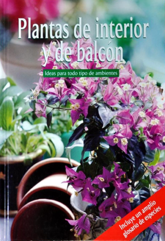 Plantas De Interior Y De Balcón - Ideas Para Todo Tipo De Ambiente