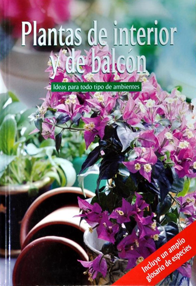 Plantas De Interior Y De Balcón - Ideas Para Todo Tipo De Ambiente